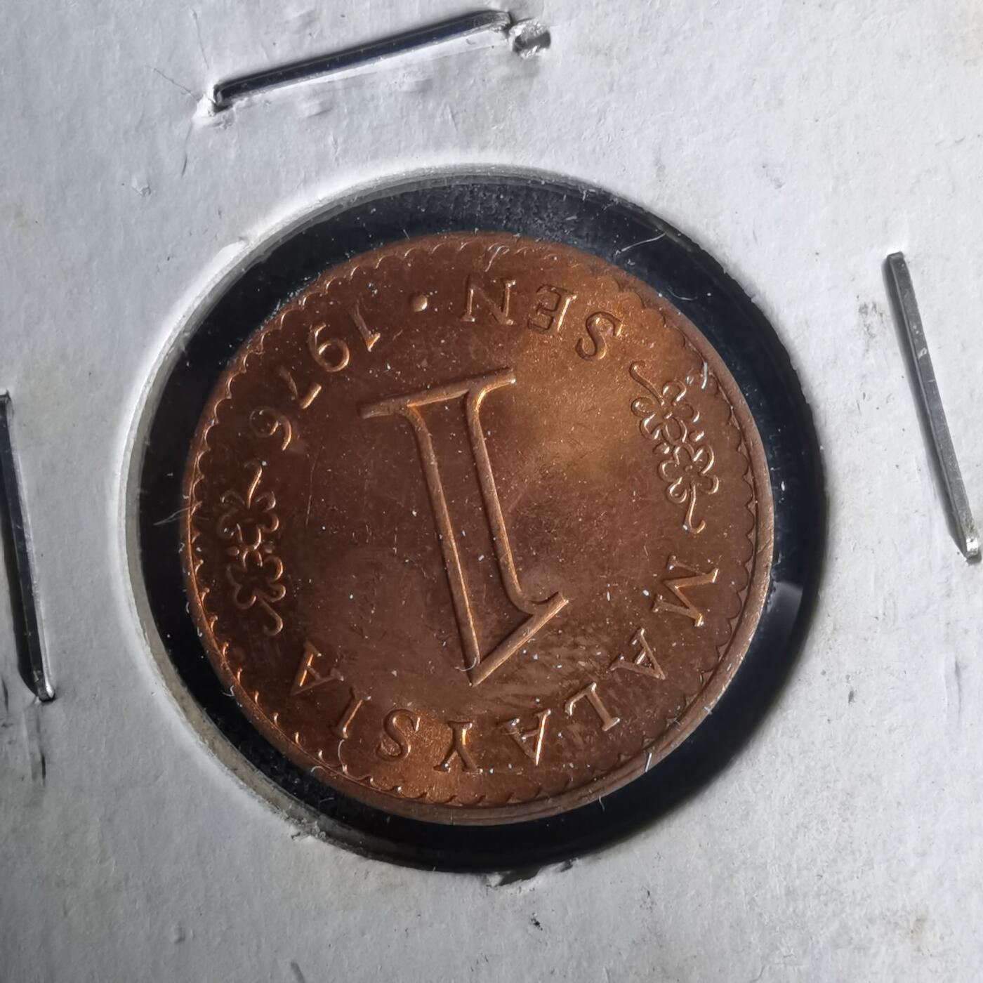 沼泽如烟--第1021场