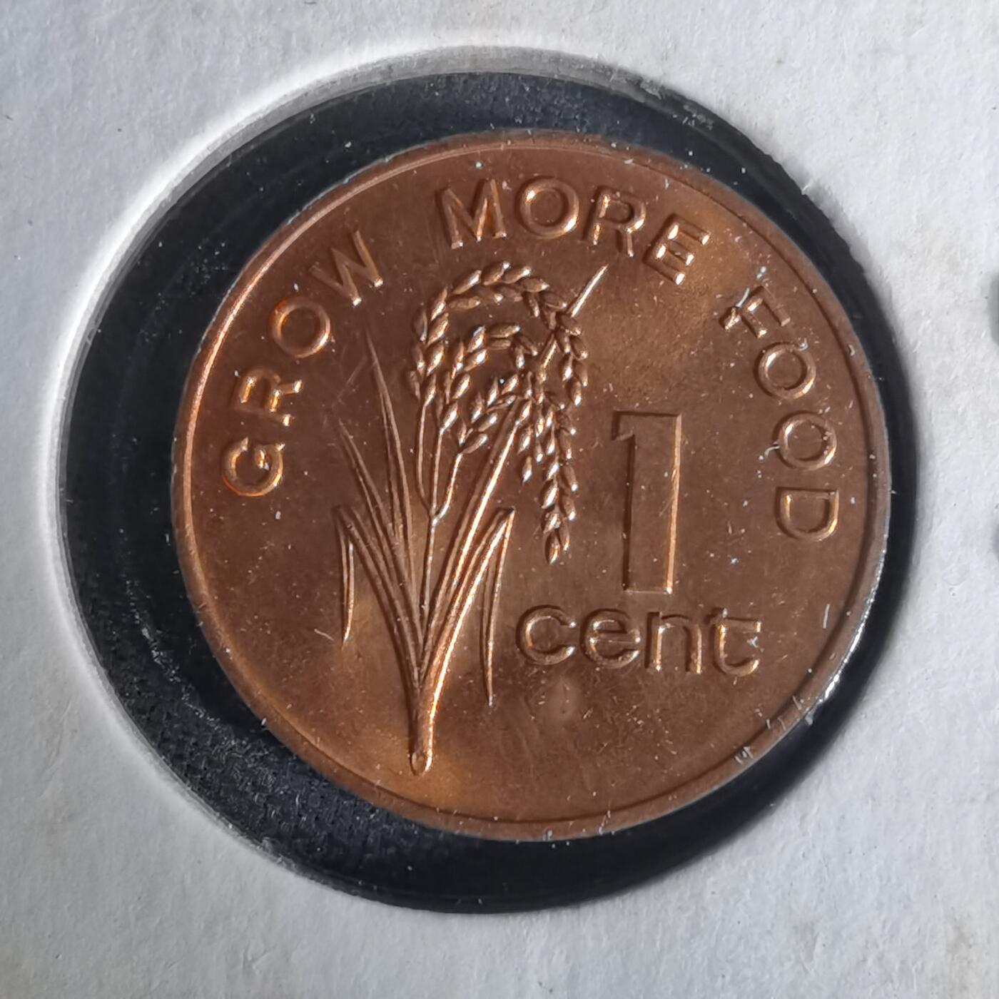 沼泽如烟--第1021场