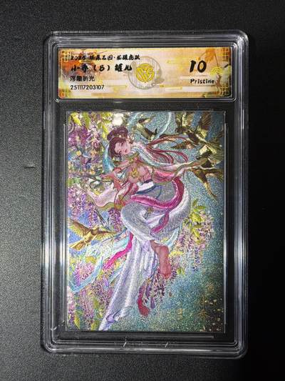 NO.27 好又多金牌大场，每周一站式配齐，方便凑单！（周6晚9点截拍，卖家送拍0抽成！） - 焱卡 燎原三国龙骧虎跃 罐儿 小乔B 浮雕折光 10P