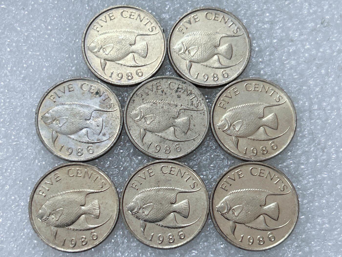 第一海外回流一元起拍收藏 散集专场  第302期 百慕大1986年5分硬币 8枚 原光品