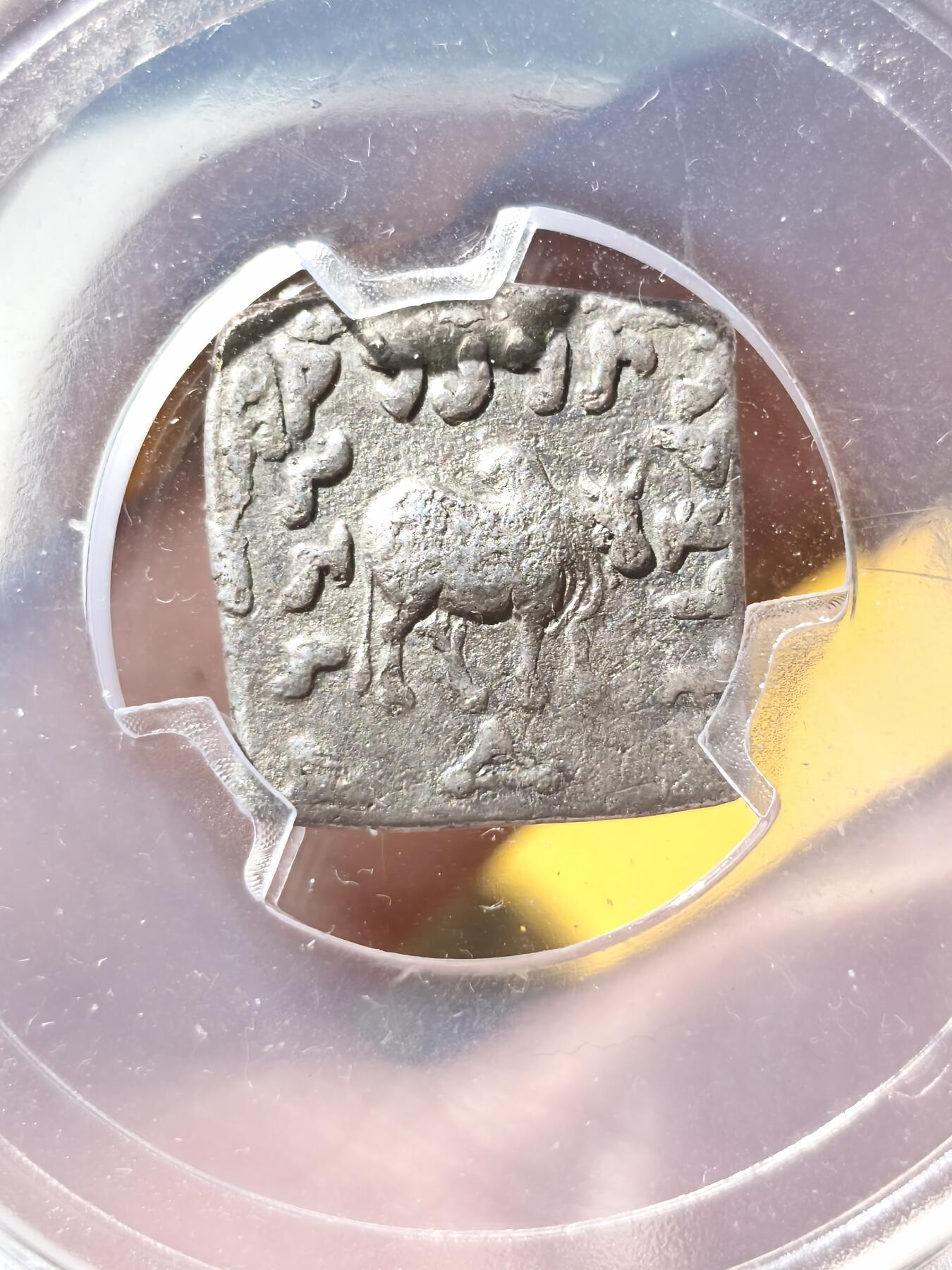 星盘世界钱币拍卖 知名品种！古希腊 巴克特里亚王国 中国史书曰“大夏”，阿波罗多托斯一世方形银币，面值一德拉克马，公元前180-169年发行，正面大象环绕希腊文，背面瘤牛环绕佉卢文，作为文化交融的见证很有意义！