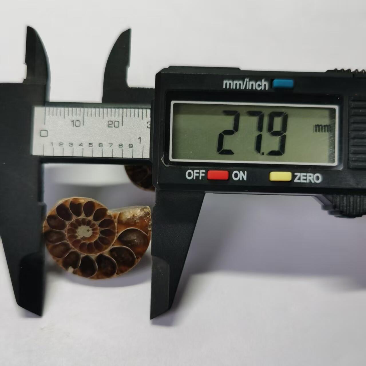 七河·世界币章水晶矿标化石杂件小拍（总第42期）（周一结标） 藏家出品X788（8）马达加斯加中生代菊石化石对开品 本件拍品由合作藏家负责邮寄