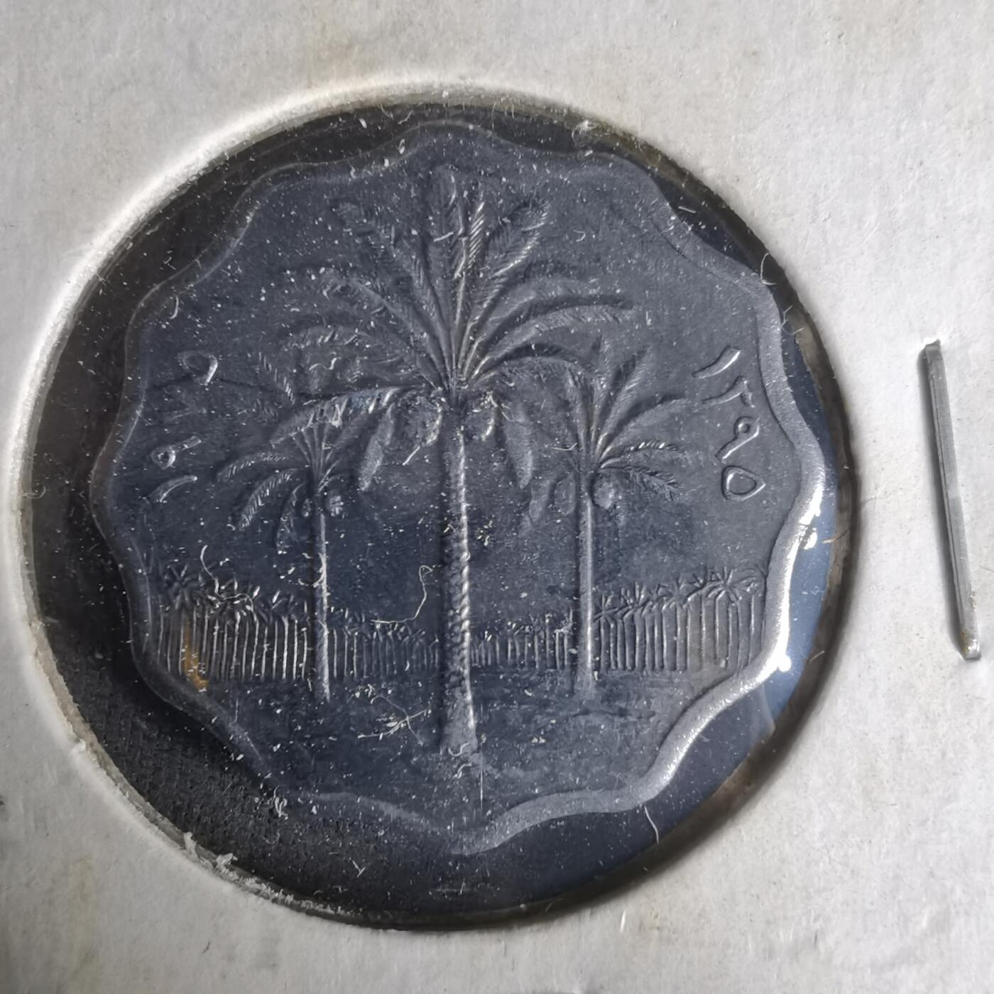 沼泽如烟--第1021场 伊拉克