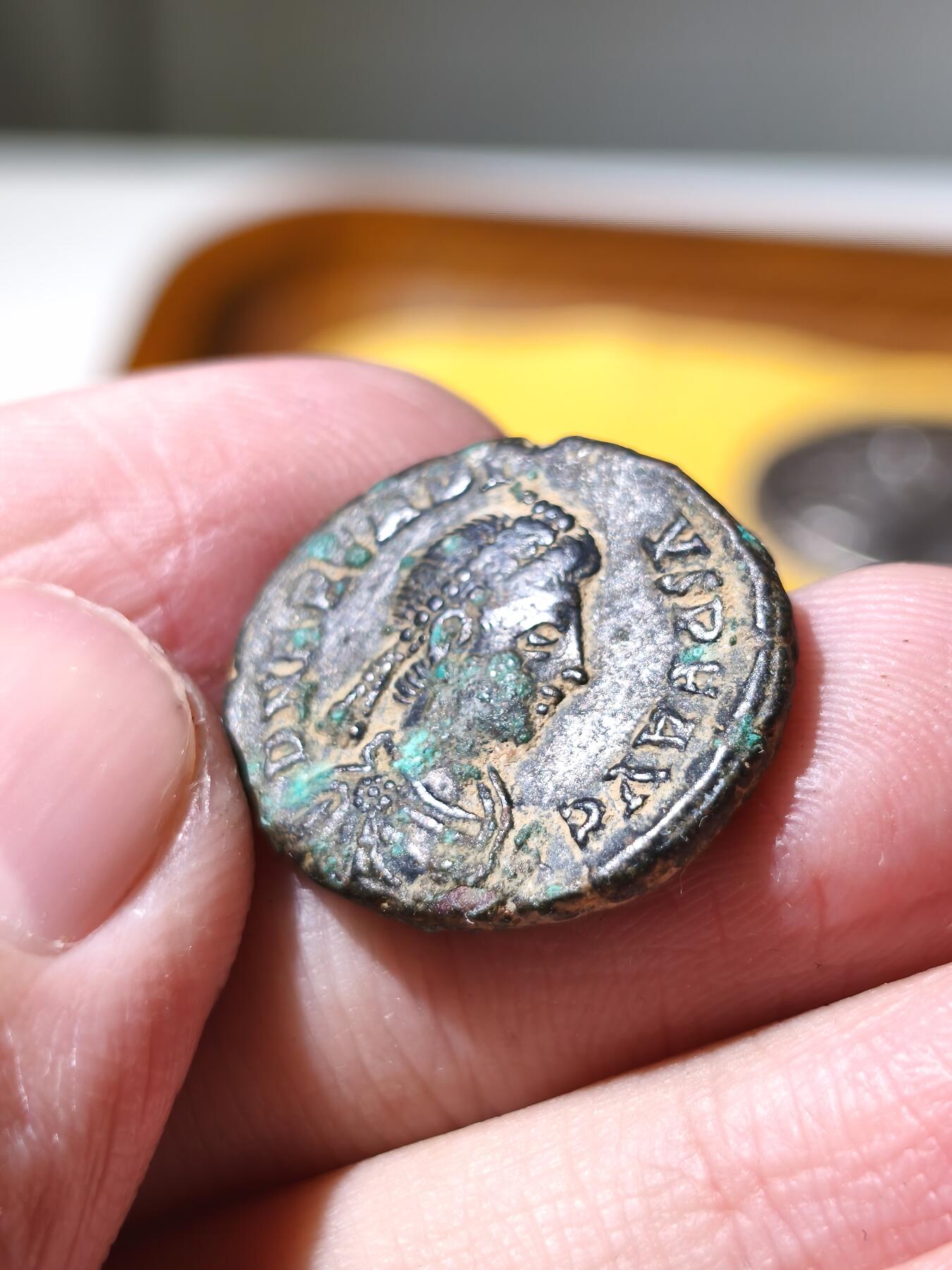 星盘世界钱币拍卖