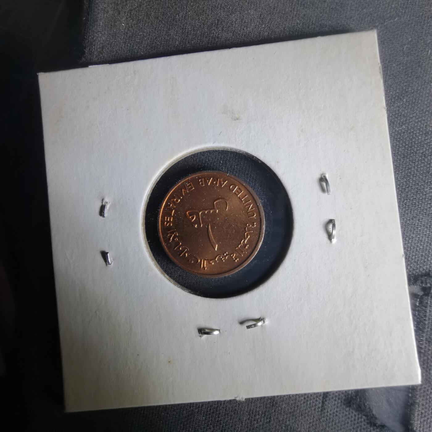 沼泽如烟--第1021场