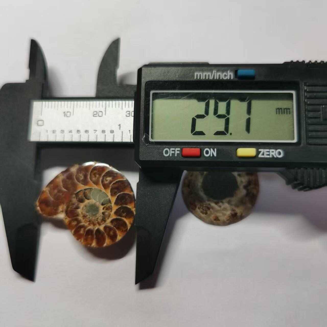 七河·世界币章水晶矿标化石杂件小拍（总第42期）（周一结标） 藏家出品X796（8）马达加斯加中生代菊石化石对开品 本件拍品由合作藏家负责邮寄