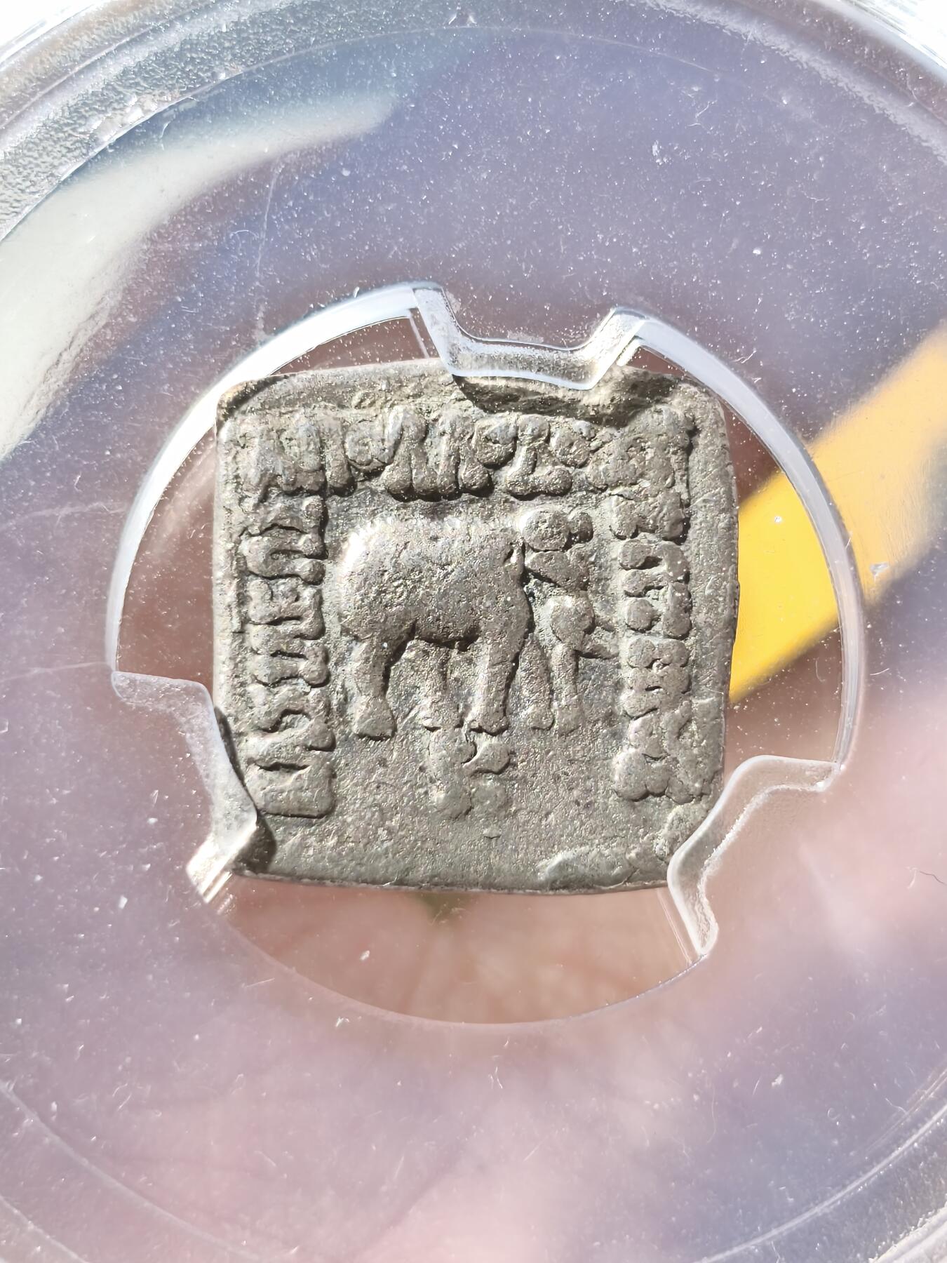 星盘世界钱币拍卖 知名品种！古希腊 巴克特里亚王国 中国史书曰“大夏”，阿波罗多托斯一世方形银币，面值一德拉克马，公元前180-169年发行，正面大象环绕希腊文，背面瘤牛环绕佉卢文，作为文化交融的见证很有意义！