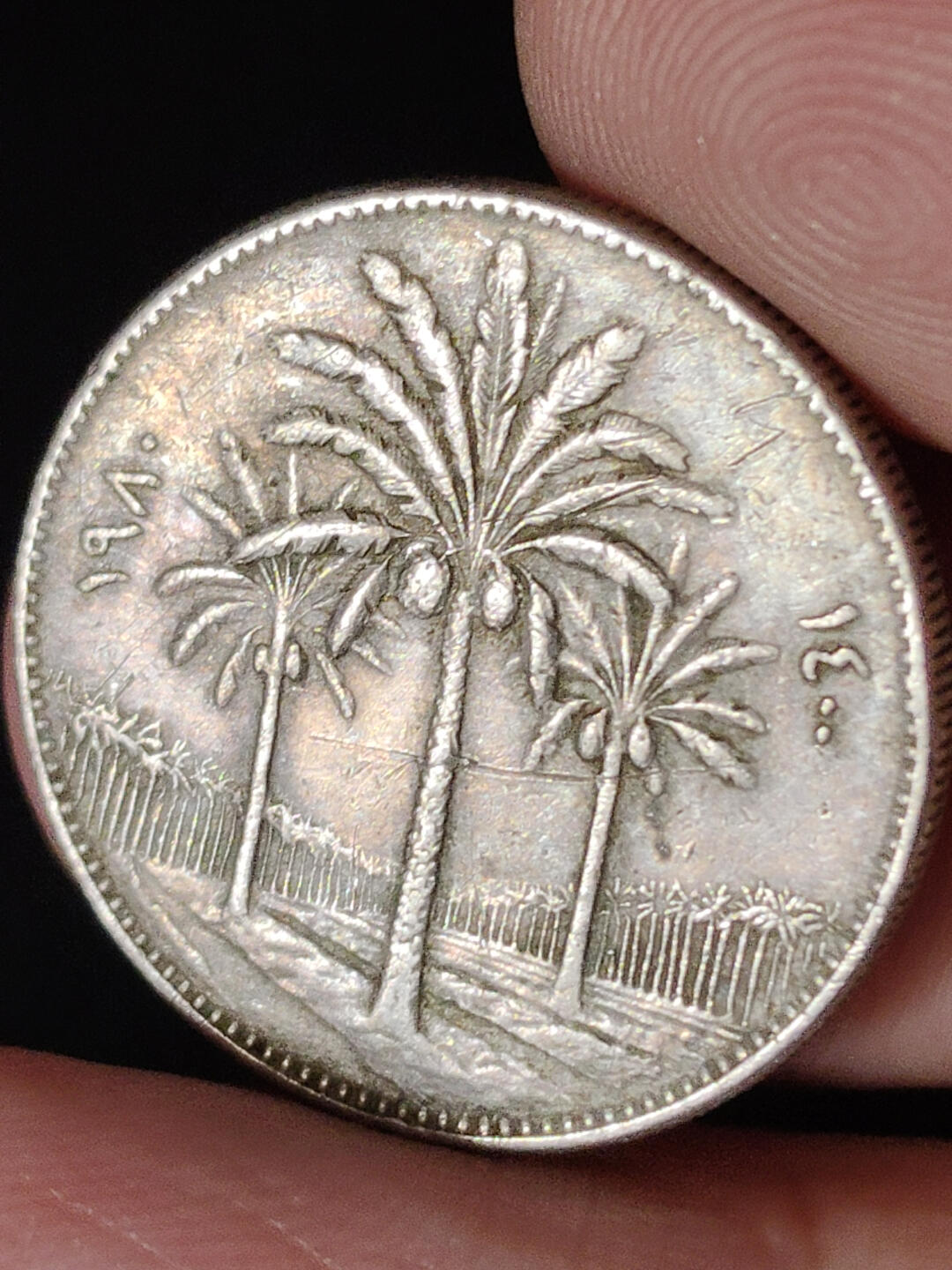 猩哥外币小铺➨【第221场】 中东