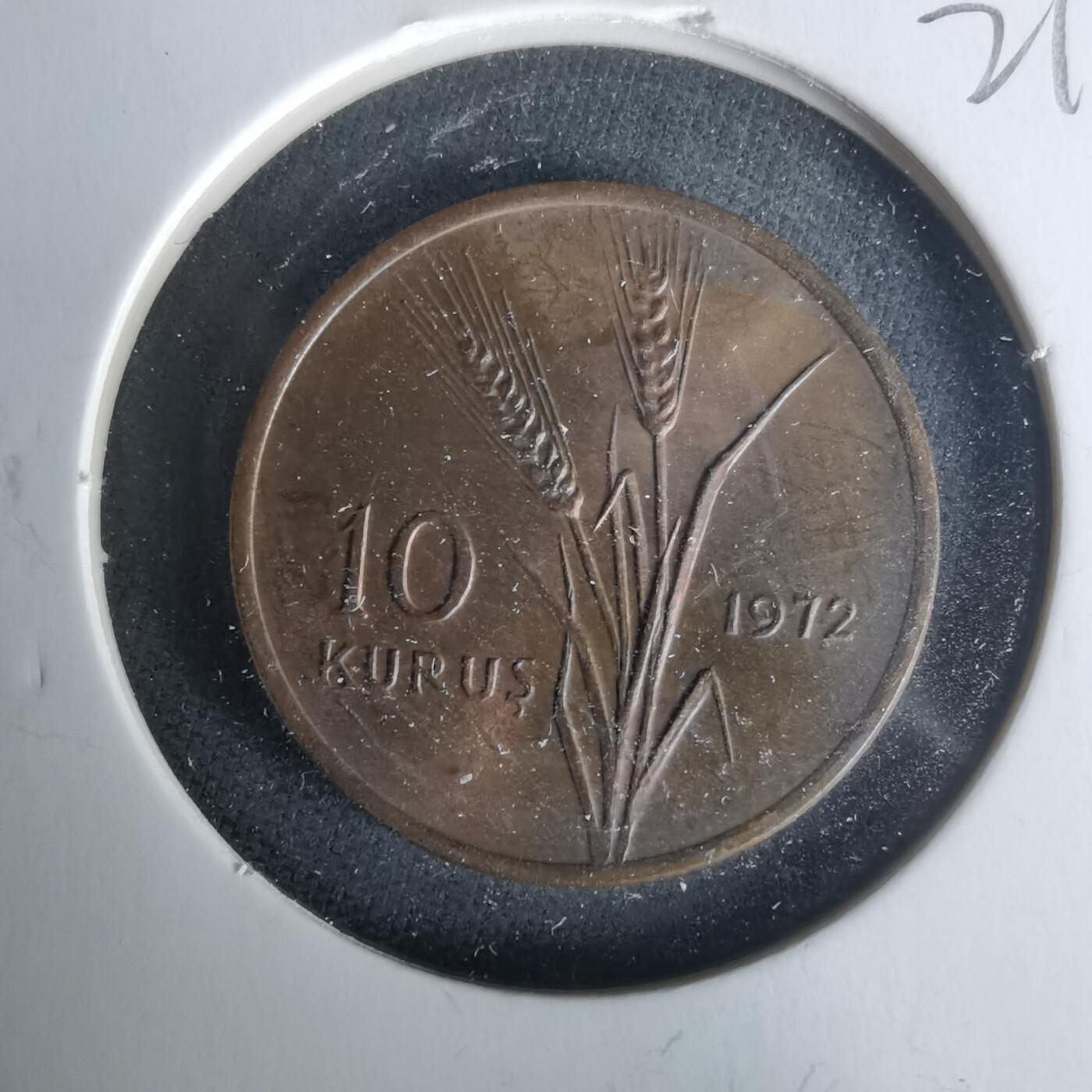 沼泽如烟--第1021场