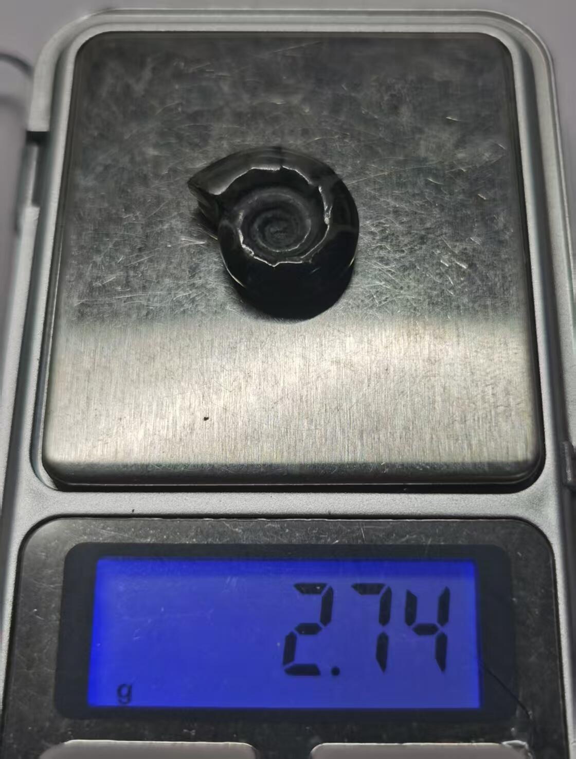 七河·世界币章水晶矿标化石杂件小拍（总第42期）（周一结标） 藏家出品X801（2）马达加斯加中生代菊石化石 本件拍品由合作藏家邮寄