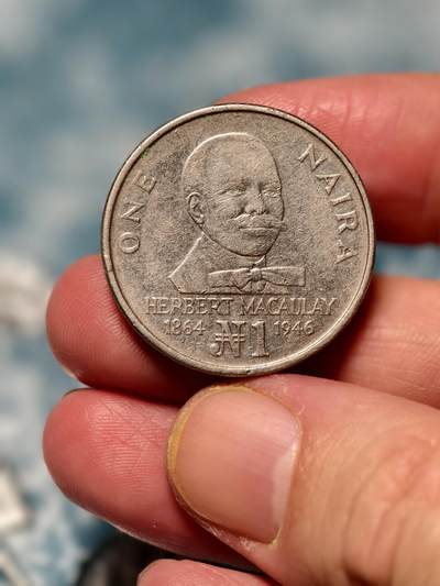 抚柳草堂-第十六期章牌钱币  奖章勋章限时免佣 满百包邮 放漏专场 - 尼日利亚1991年1奈拉硬币  比一般的硬币要厚很多 有意思的品种