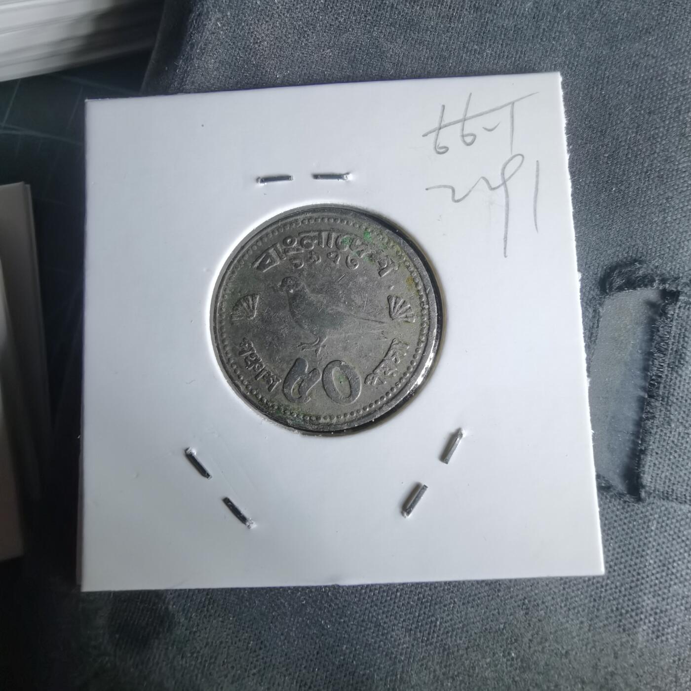 沼泽如烟--第1022场 孟加拉鸽子