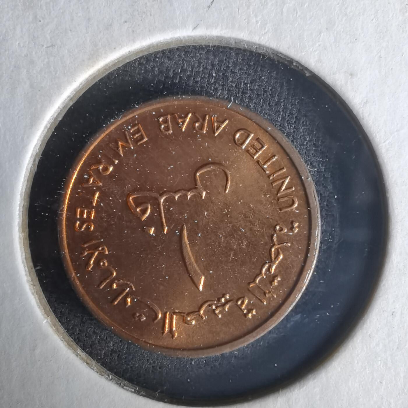 沼泽如烟--第1021场