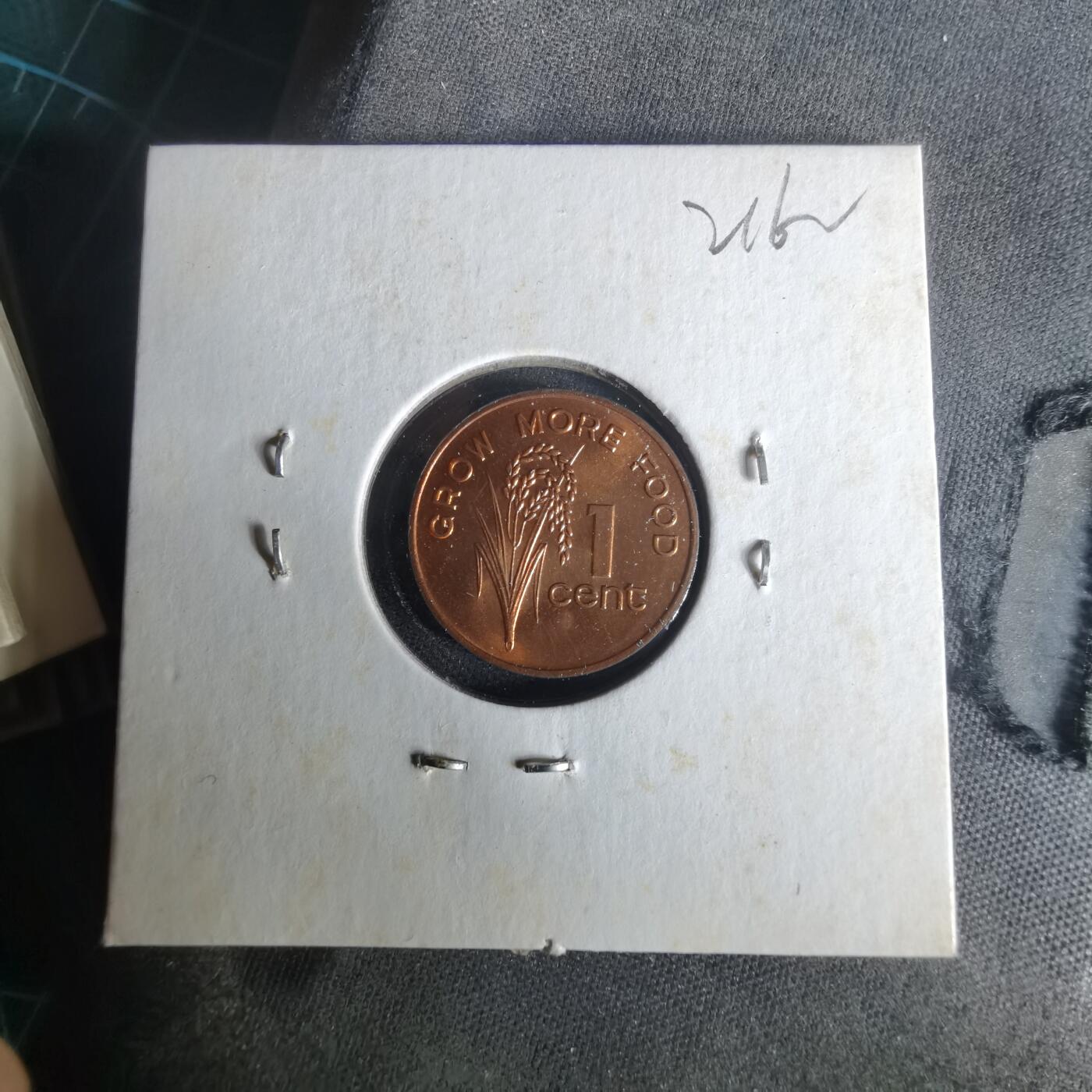 沼泽如烟--第1021场