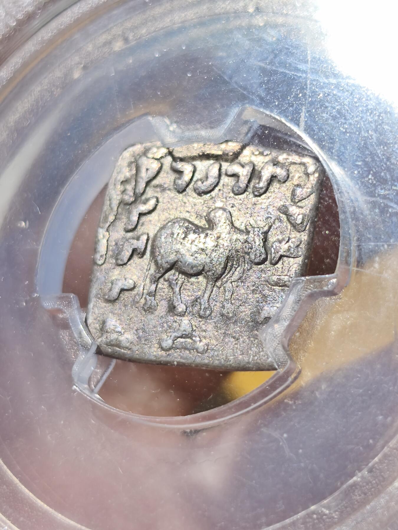 星盘世界钱币拍卖 知名品种！古希腊 巴克特里亚王国 中国史书曰“大夏”，阿波罗多托斯一世方形银币，面值一德拉克马，公元前180-169年发行，正面大象环绕希腊文，背面瘤牛环绕佉卢文，作为文化交融的见证很有意义！