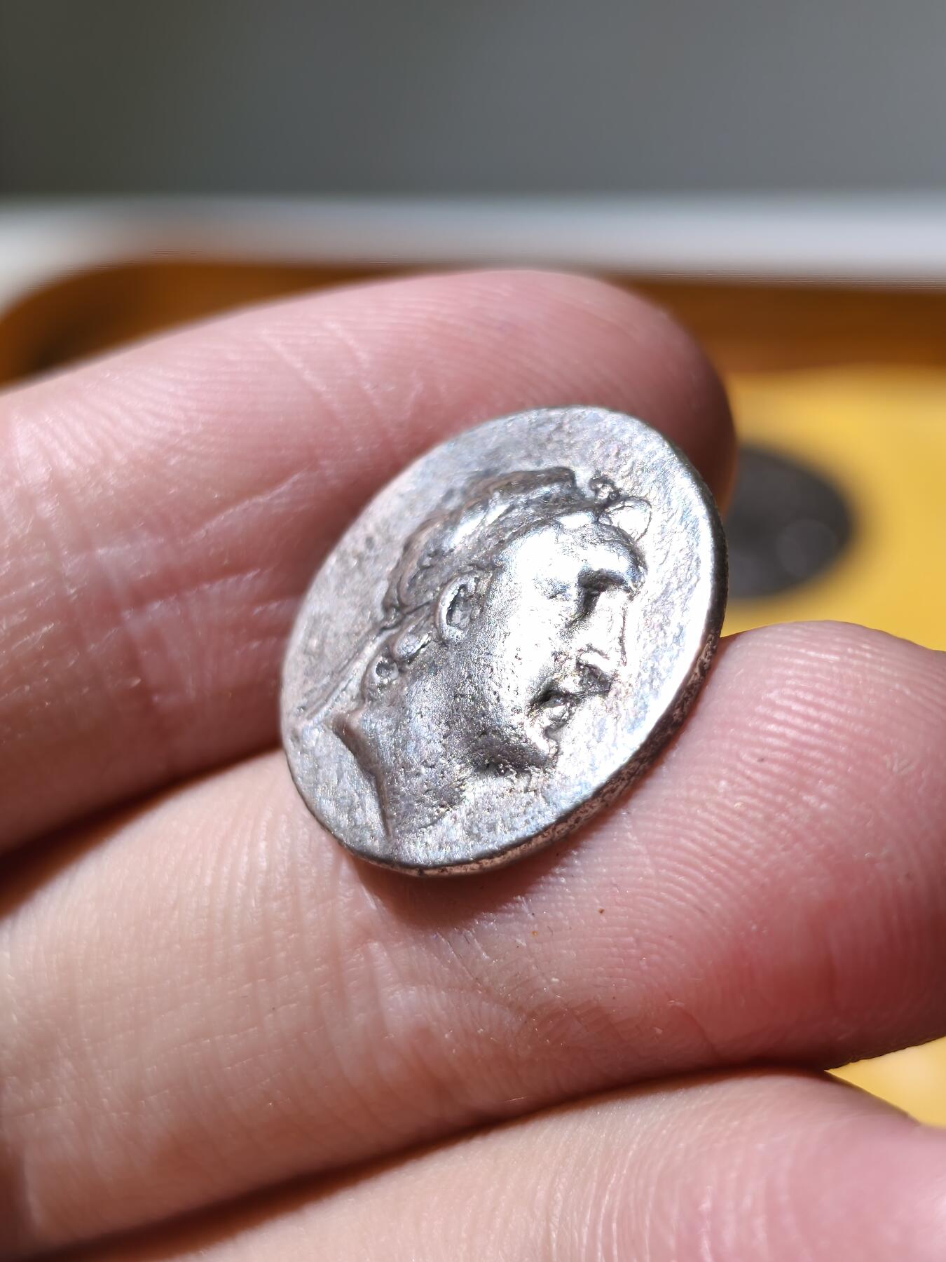 星盘世界钱币拍卖