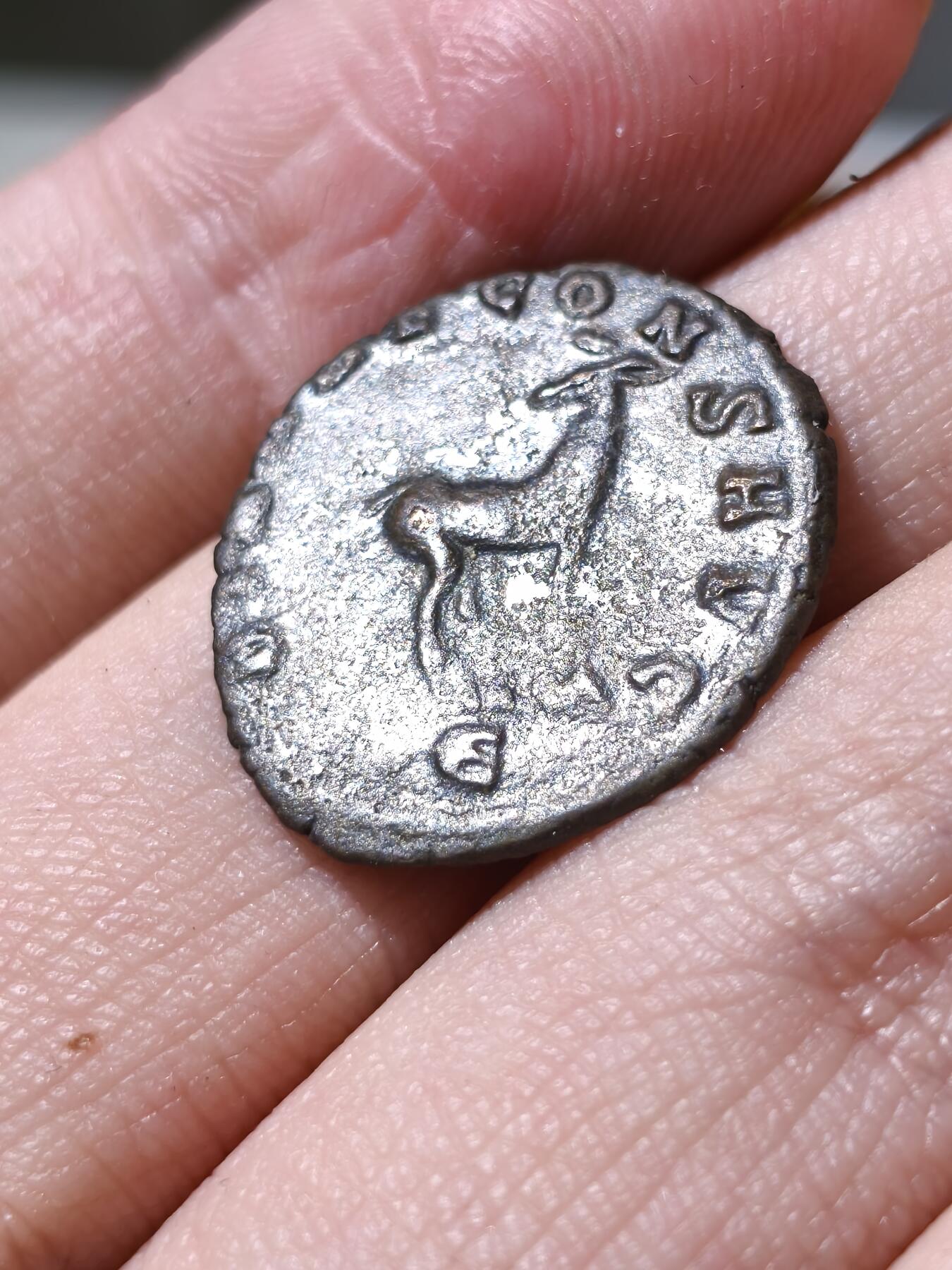 星盘世界钱币拍卖