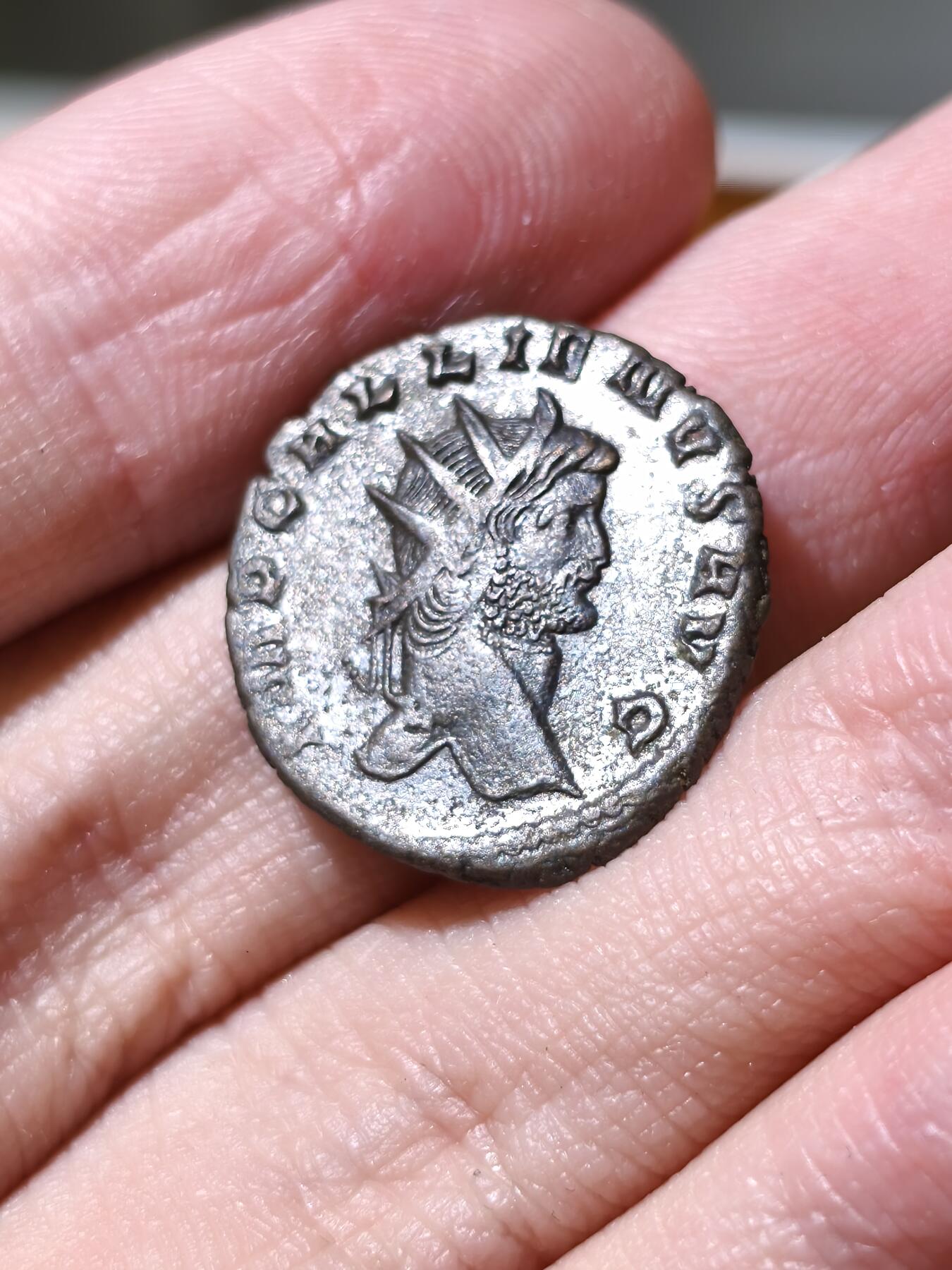 星盘世界钱币拍卖