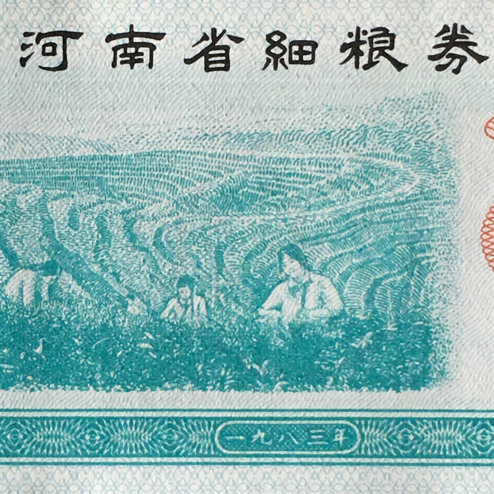          1983年河南省细粮券全新品相未流通1组2枚原版真品如图供应票证旧藏文玩艺术收藏