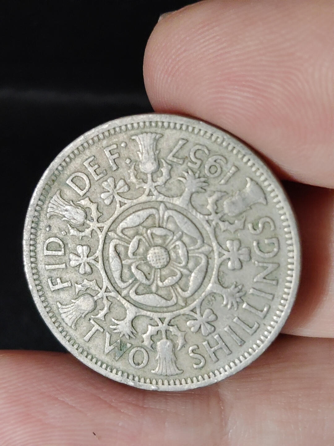 猩哥外币小铺➨【第221场】 英国