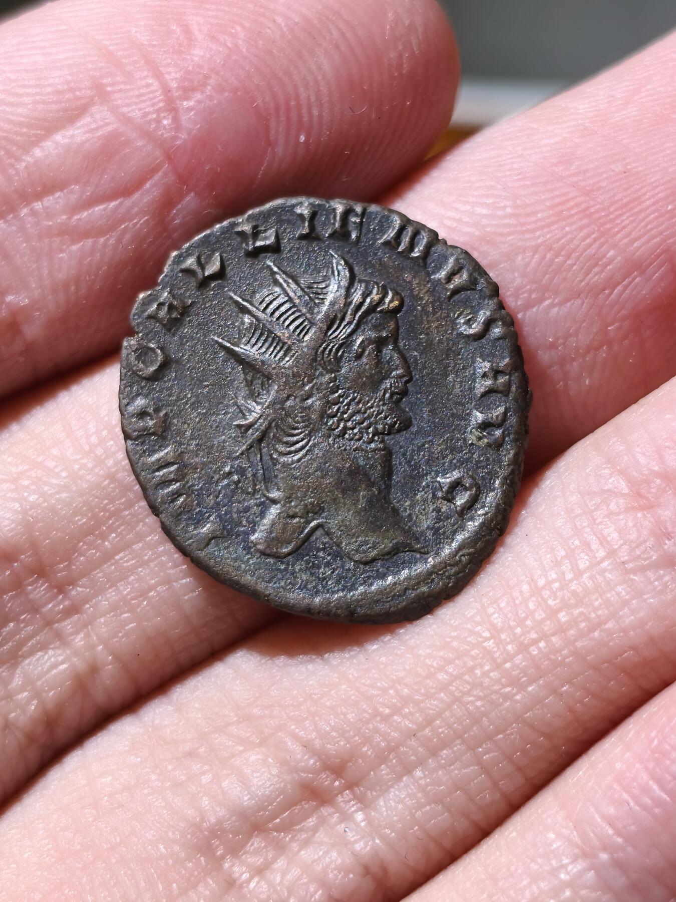 星盘世界钱币拍卖