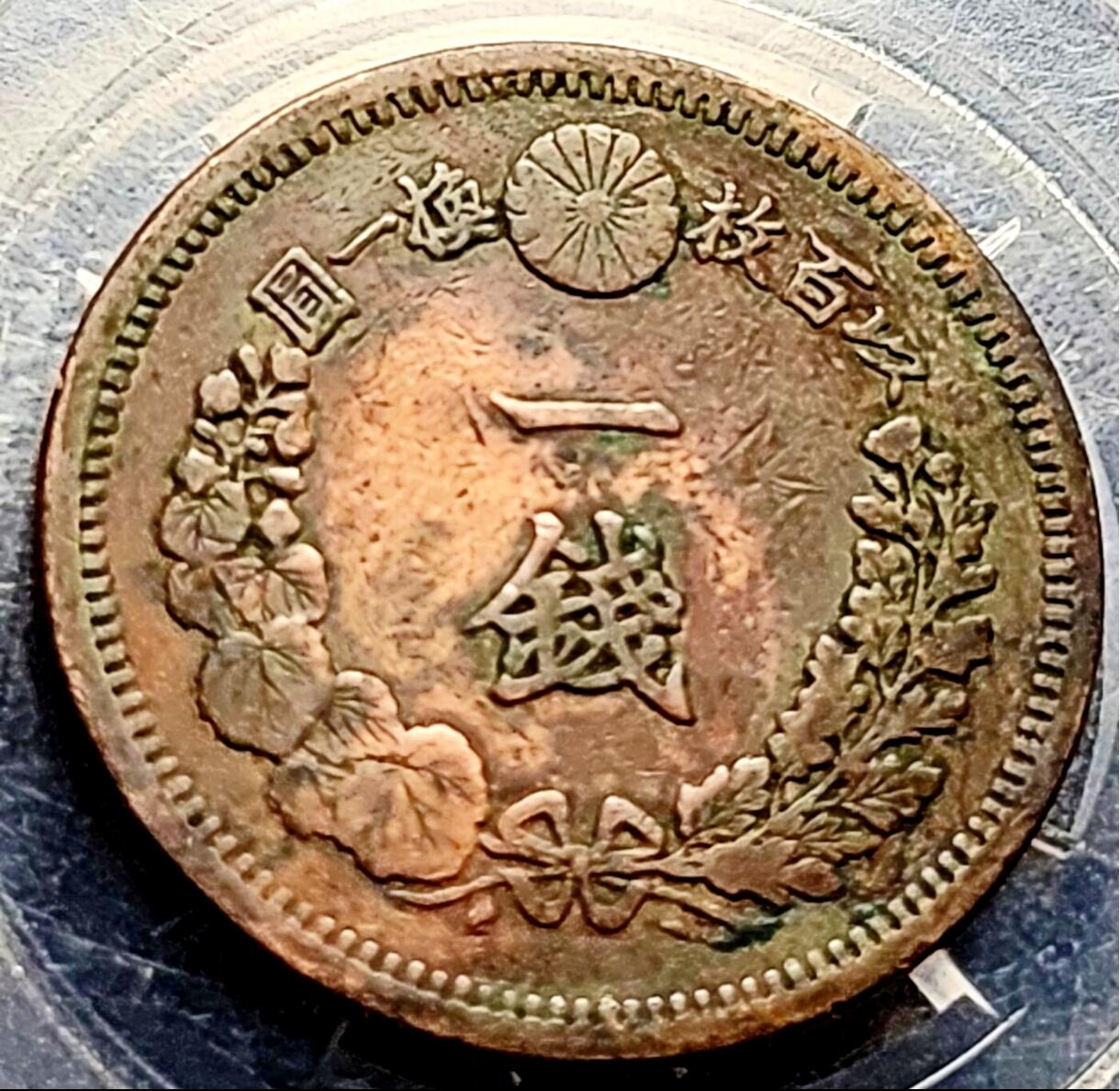 泉币菌-第208场-拍品多 请提前出价