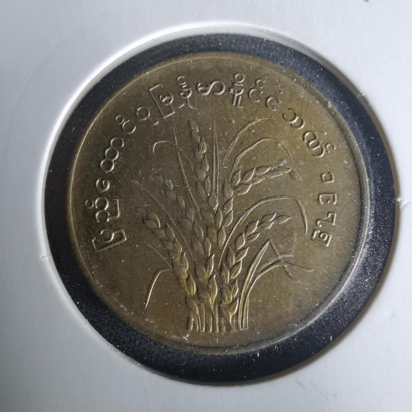 沼泽如烟--第1021场