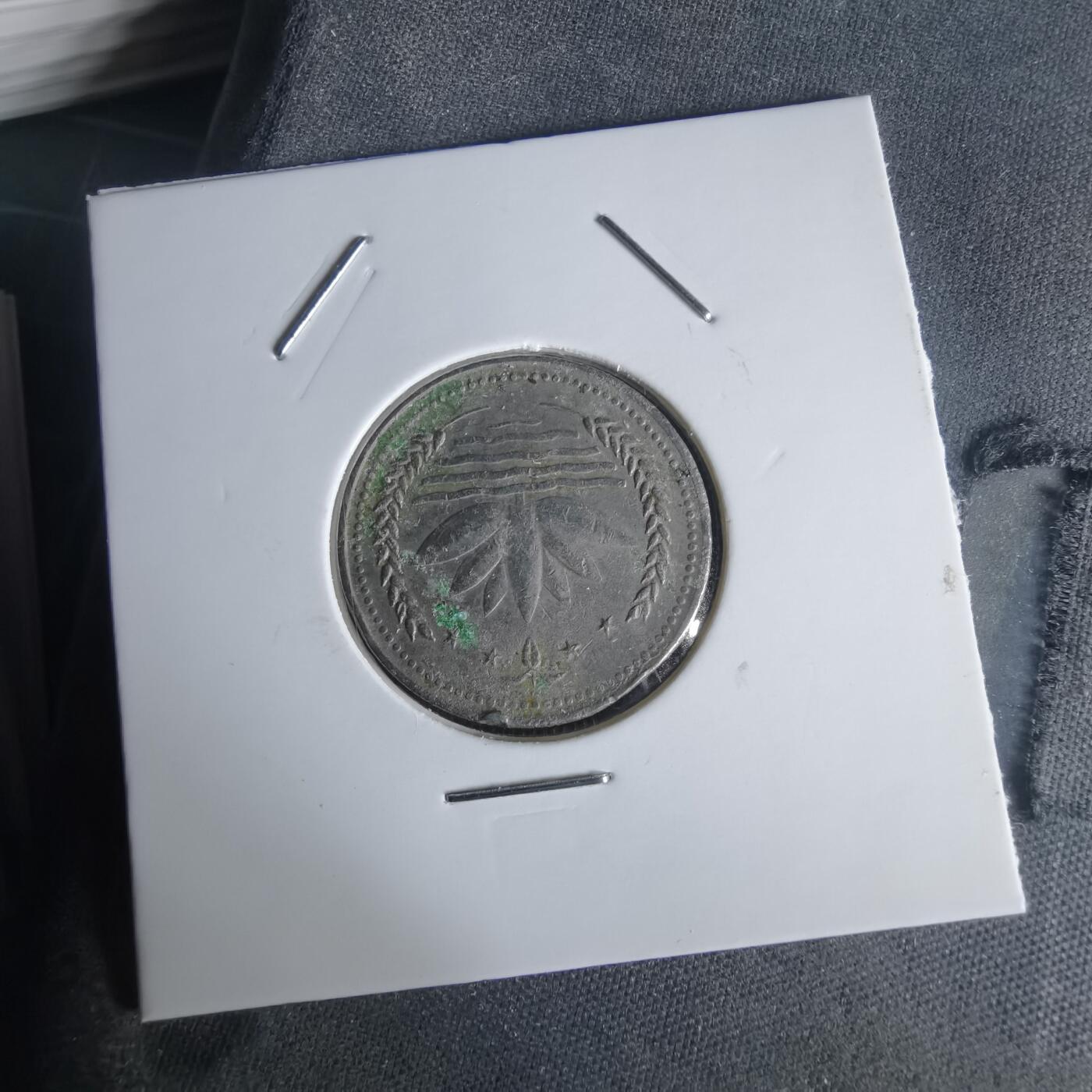 沼泽如烟--第1022场 孟加拉鸽子