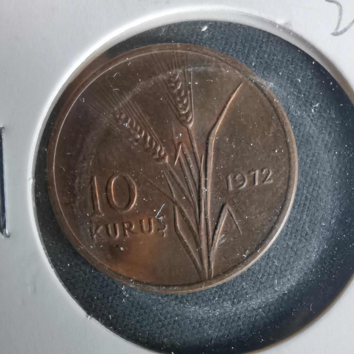 沼泽如烟--第1021场