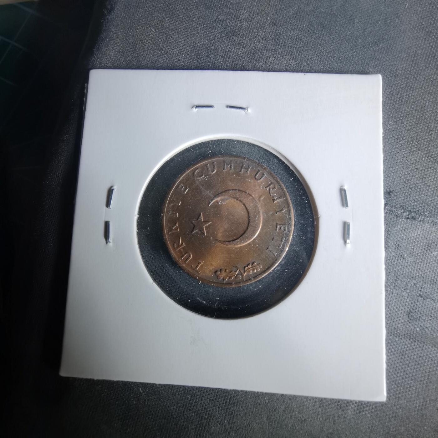 沼泽如烟--第1021场