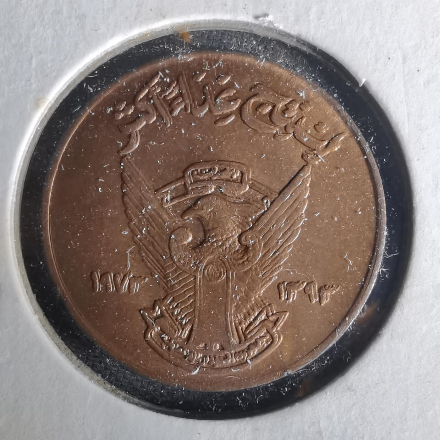 沼泽如烟--第1021场