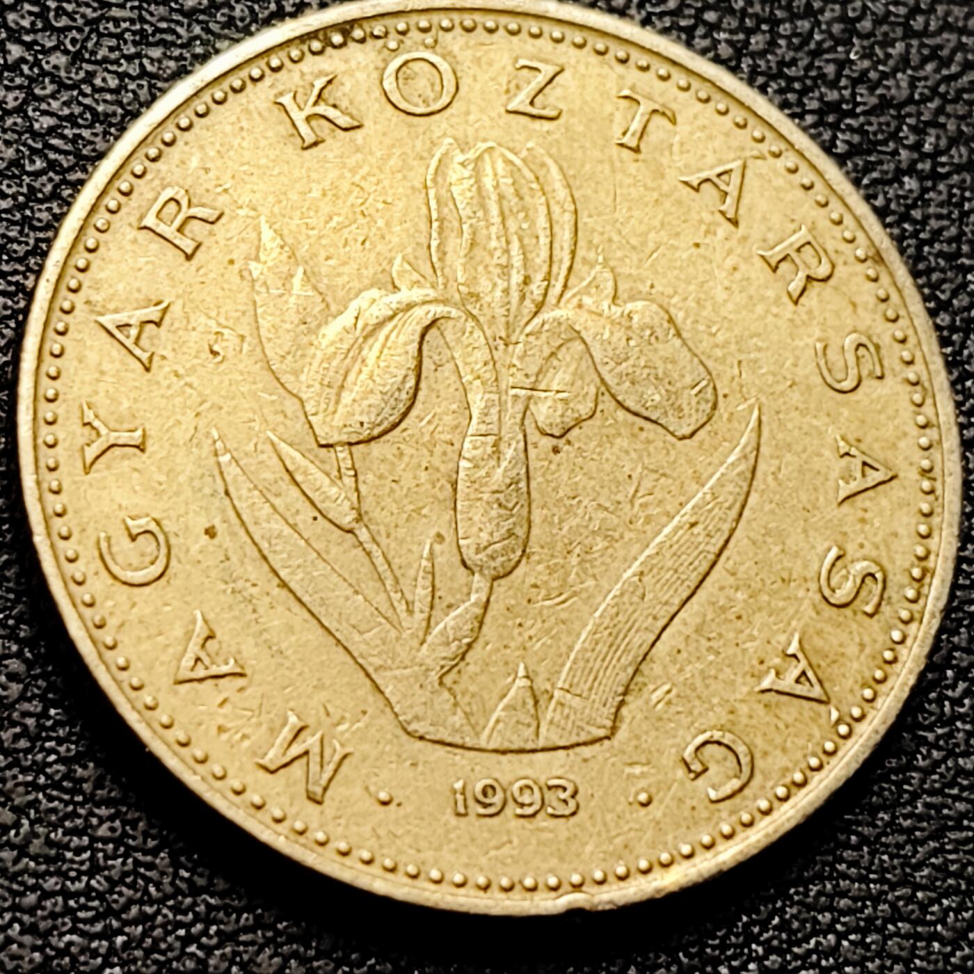 泉币菌-第209场-拍品多 请提前出价 。