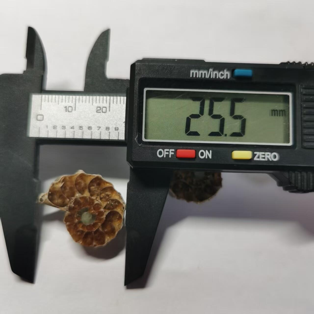 七河·世界币章水晶矿标化石杂件小拍（总第42期）（周一结标） 藏家出品X798（5）马达加斯加中生代菊石化石对开品 本件拍品由合作藏家负责邮寄