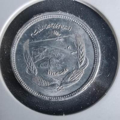 沼泽如烟--第1021场 - 埃及纪念币