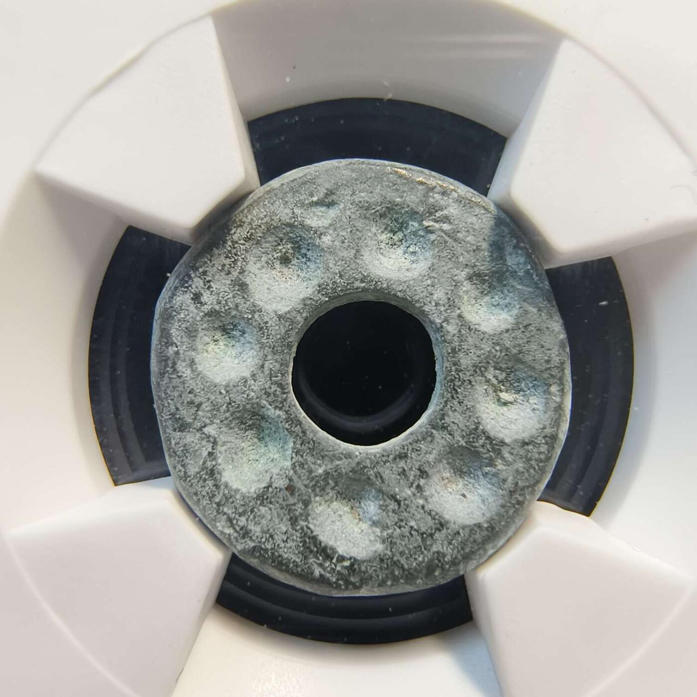 七河·世界币章水晶矿标化石杂件小拍（总第42期）（周一结标） （4）k647 大唐西域 七河地区·粟特 藕芯砝码钱 华夏评级极美80分