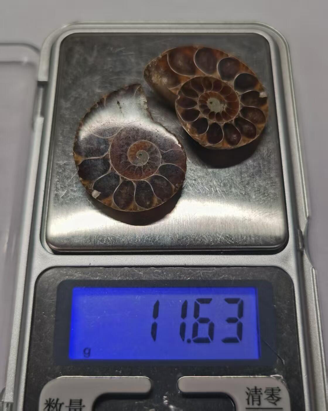 七河·世界币章水晶矿标化石杂件小拍（总第42期）（周一结标） 藏家出品X788（8）马达加斯加中生代菊石化石对开品 本件拍品由合作藏家负责邮寄