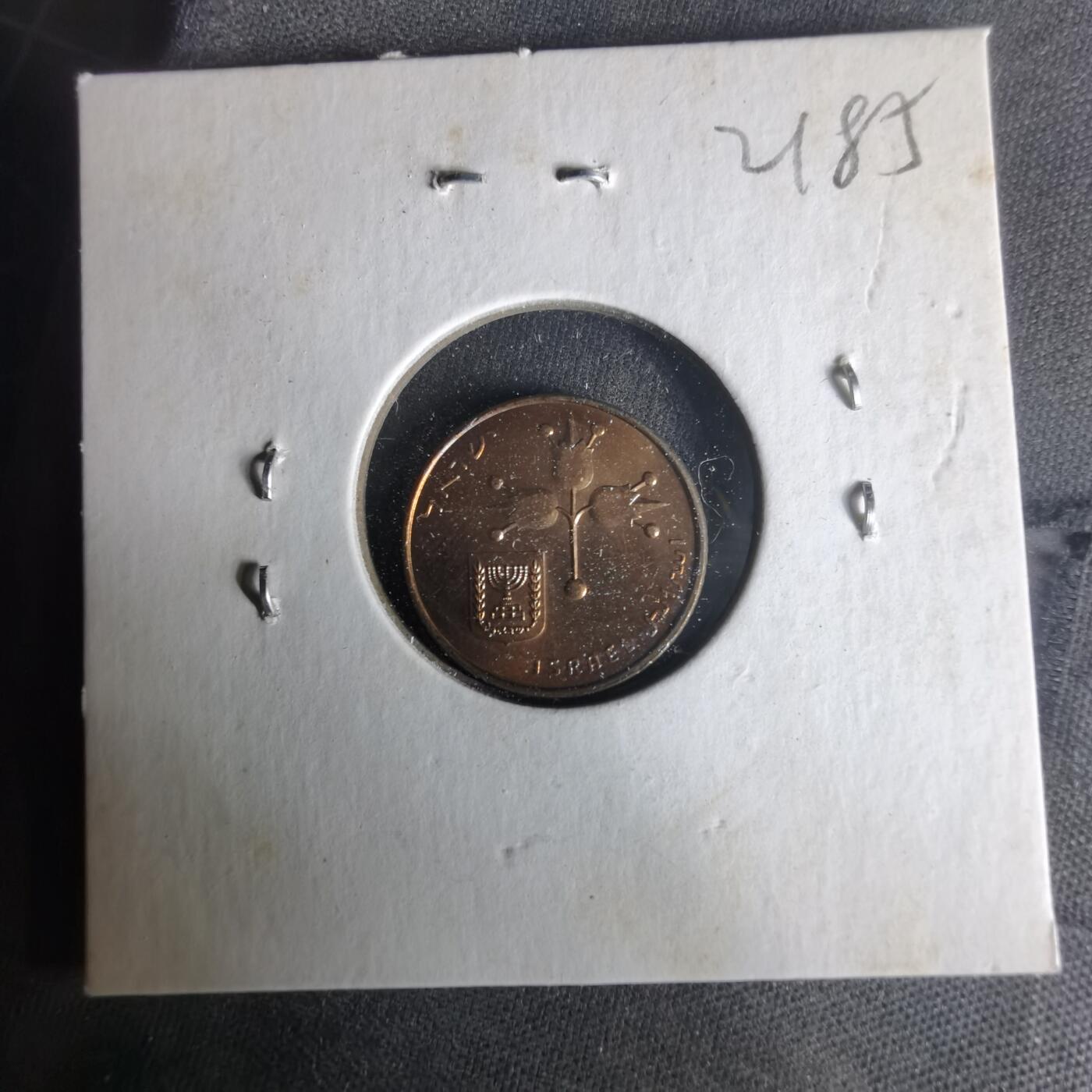 沼泽如烟--第1021场