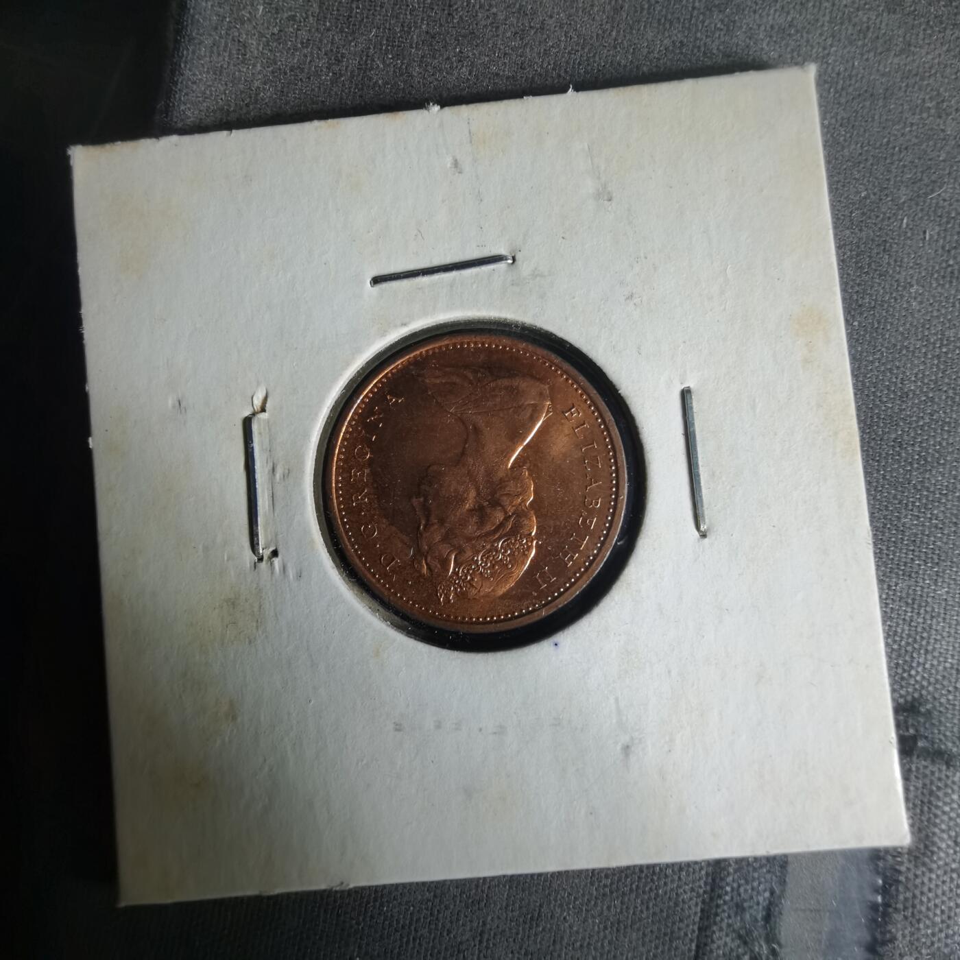 沼泽如烟--第1021场