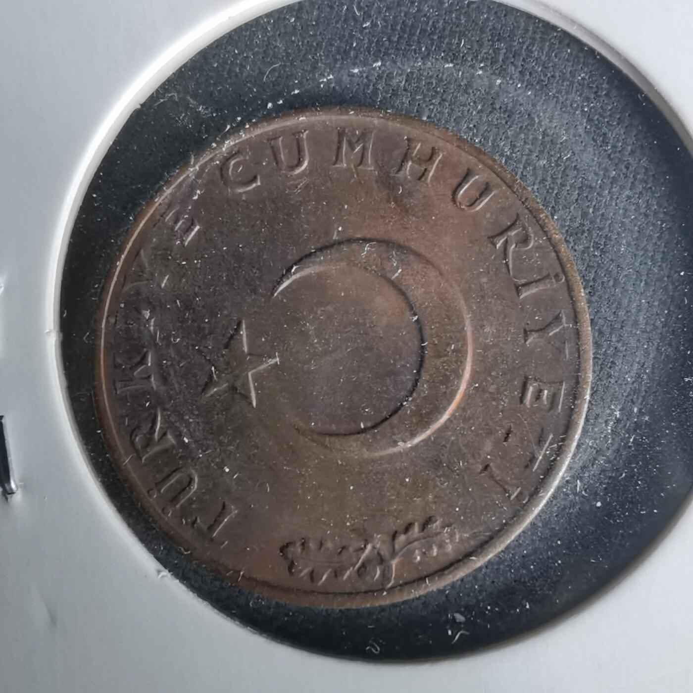 沼泽如烟--第1021场