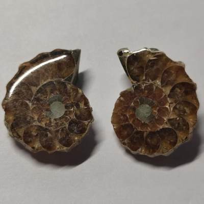 七河·世界币章水晶矿标化石杂件小拍（总第42期）（周一结标） - 藏家出品X798（5）马达加斯加中生代菊石化石对开品 本件拍品由合作藏家负责邮寄