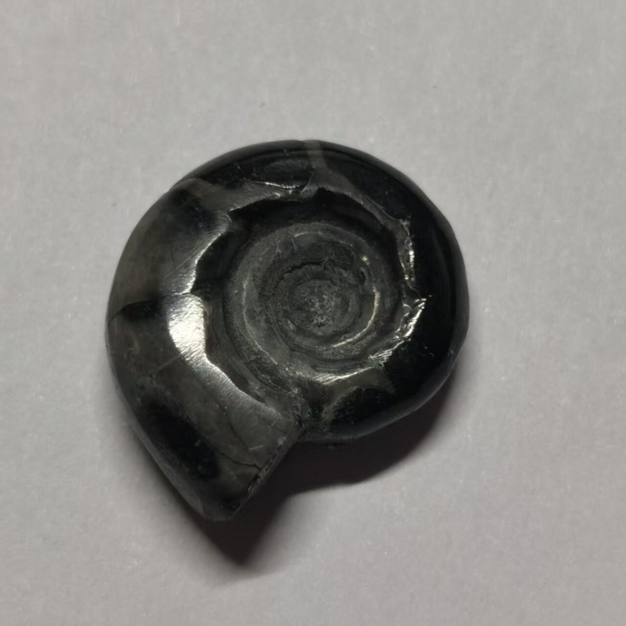 七河·世界币章水晶矿标化石杂件小拍（总第42期）（周一结标） 藏家出品X801（2）马达加斯加中生代菊石化石 本件拍品由合作藏家邮寄