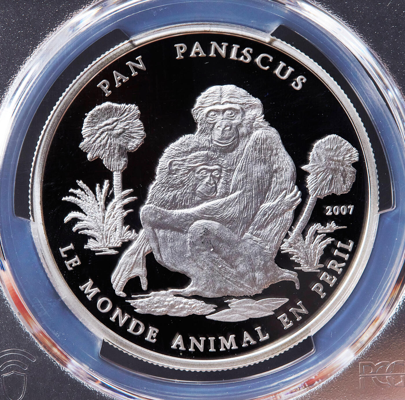 【俄甄集藏】2026年(049)03-18星期三 晚 19:30 全场包邮 刚果（布）2007年野生动物系列-倭黑猩猩1000法郎精制银币，PCGS PR69DC，重20克，999银，稀少品种