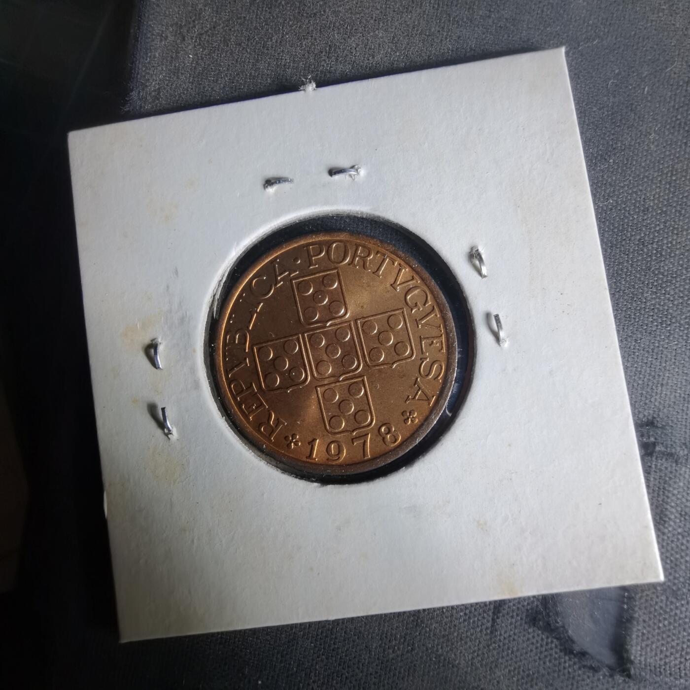 沼泽如烟--第1021场