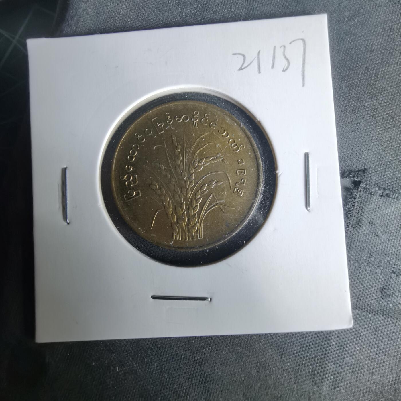 沼泽如烟--第1021场