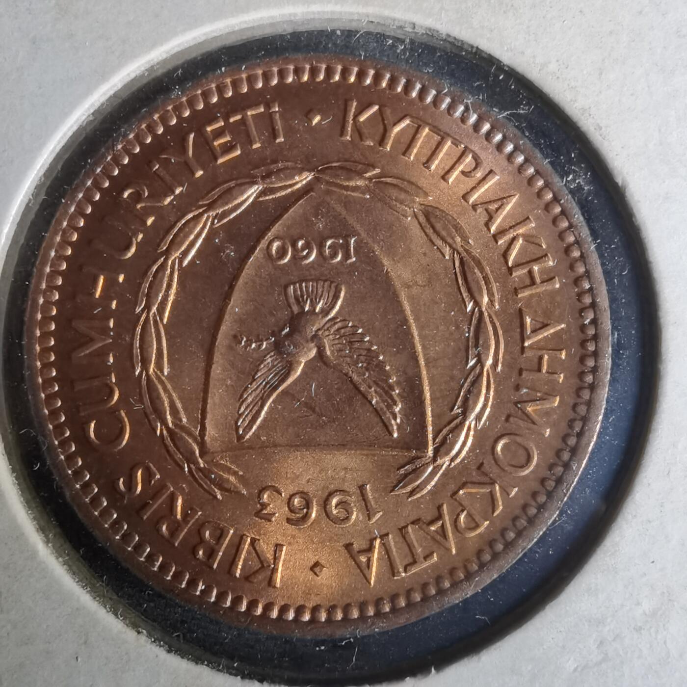 沼泽如烟--第1021场