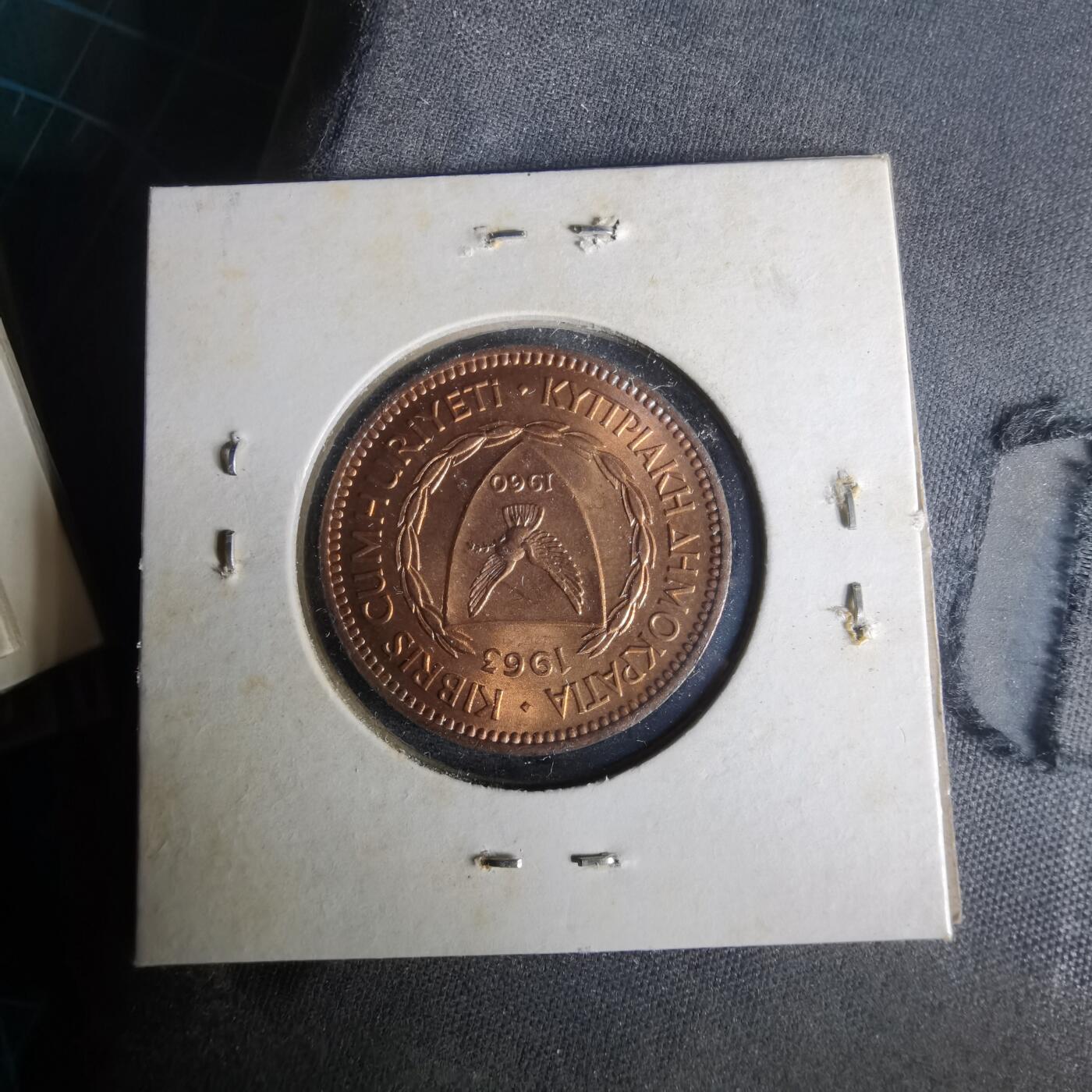 沼泽如烟--第1021场