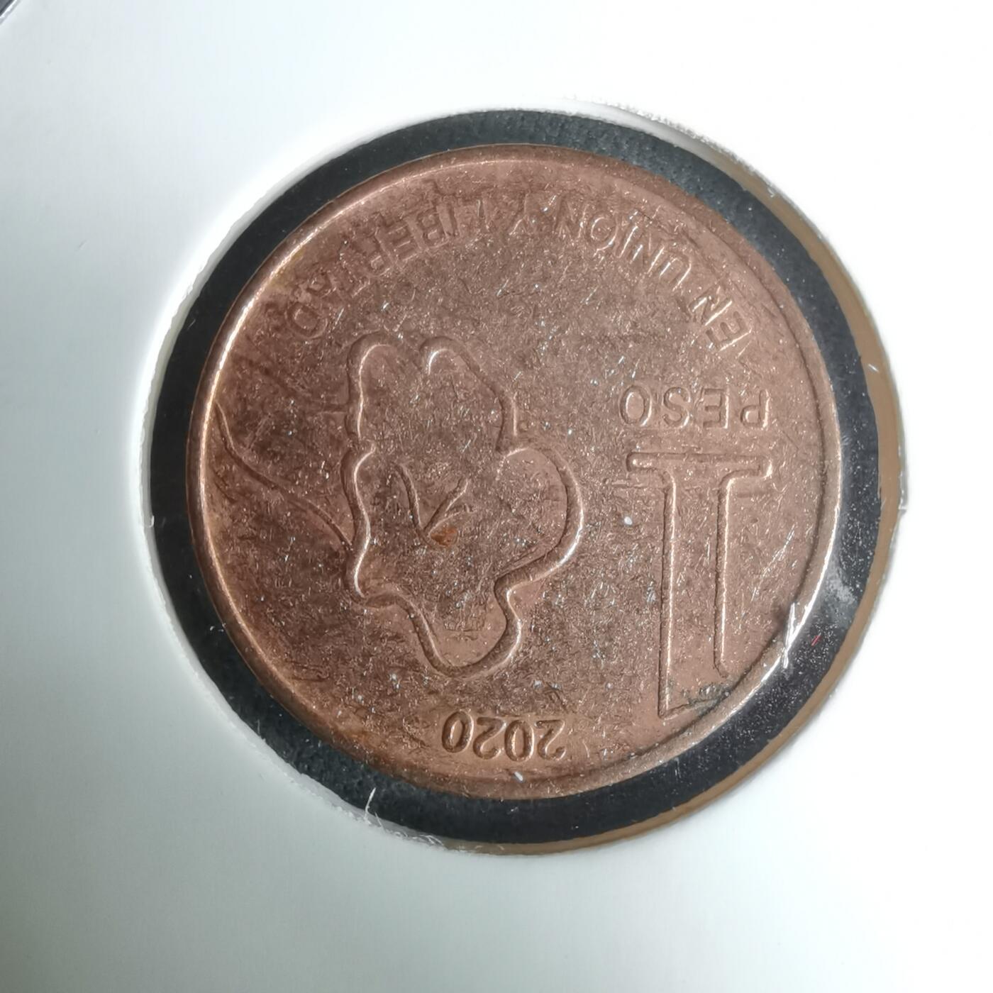 沼泽如烟--第1024场 阿根廷2020年1比索