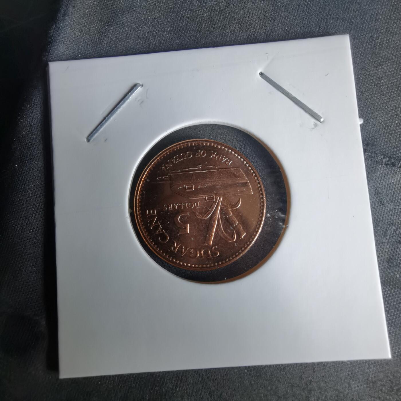 沼泽如烟--第1025场