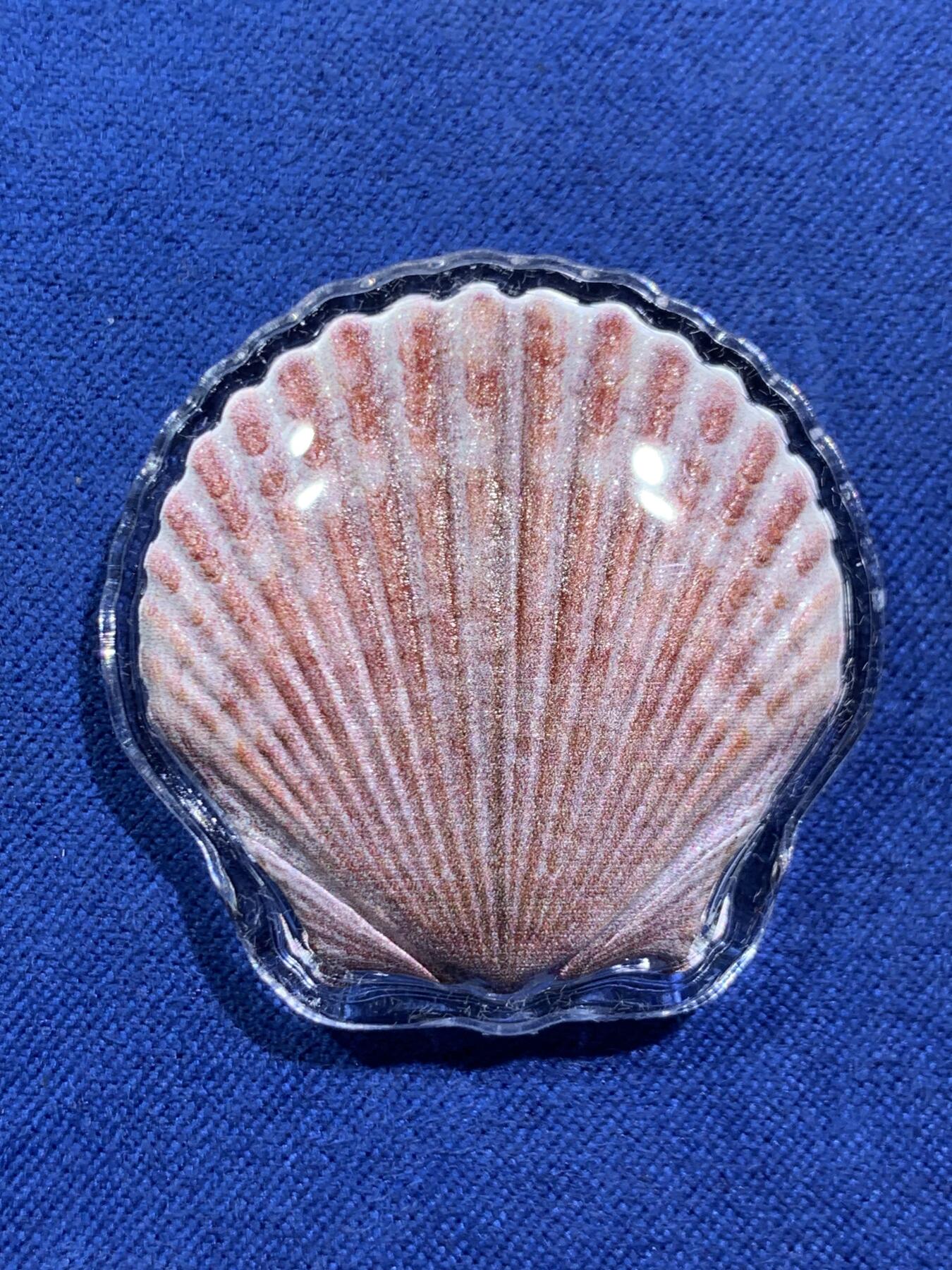 《竞宝斋》第470场 周日，周一，周二 3场连拍 （全场包邮）欢迎送拍 斐济2019年1元彩色异形银币 扇贝 10克999银 发行量1万 盒证全