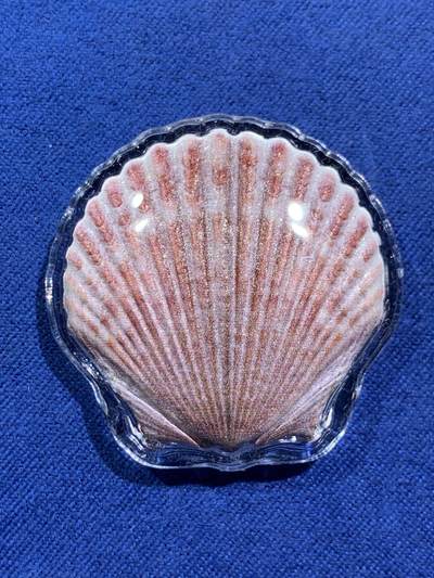 《竞宝斋》第470场 周日，周一，周二 3场连拍 （全场包邮）欢迎送拍 - 斐济2019年1元彩色异形银币 扇贝 10克999银 发行量1万 盒证全